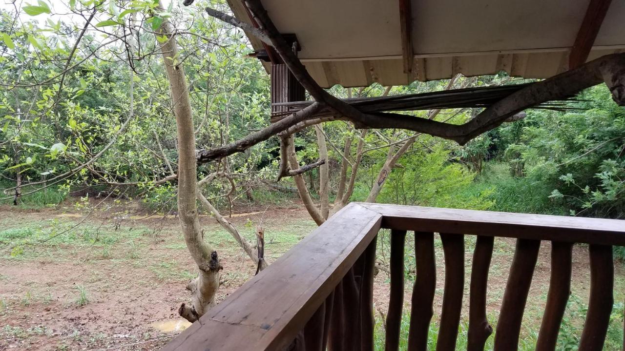 Sigiri Holiday Villa สิกิริยา ภายนอก รูปภาพ
