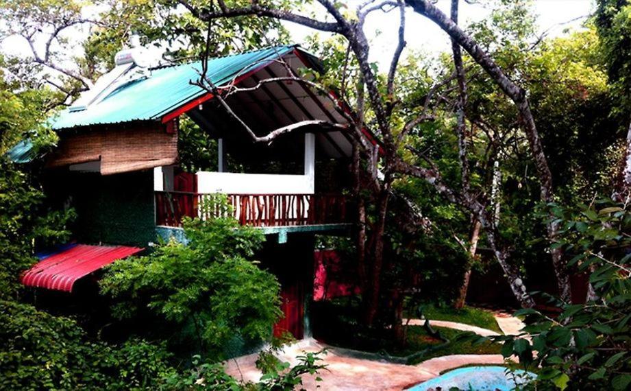 Sigiri Holiday Villa สิกิริยา ภายนอก รูปภาพ