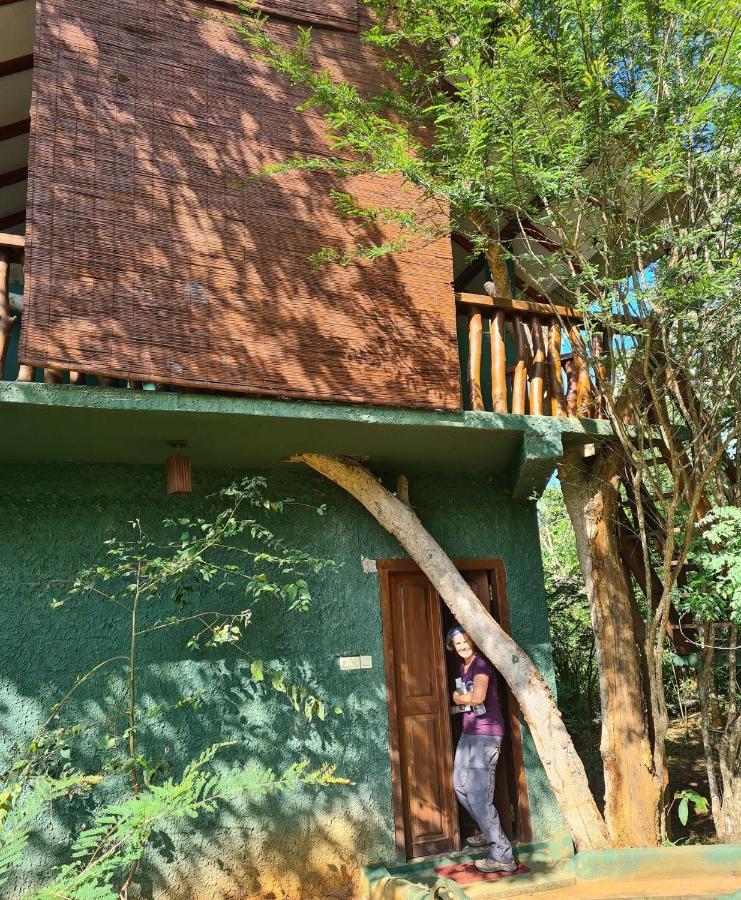 Sigiri Holiday Villa สิกิริยา ภายนอก รูปภาพ